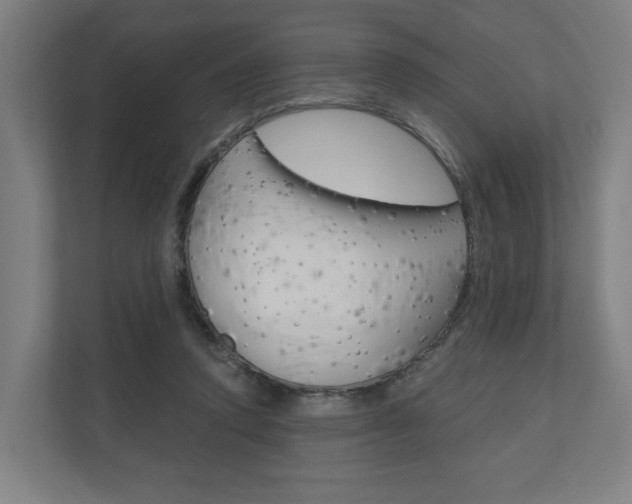 X0000110900354200906180950
