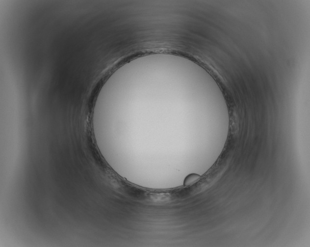 X0000110900355200906180950