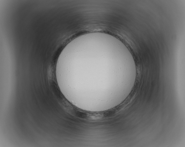 X0000110900359200906180950
