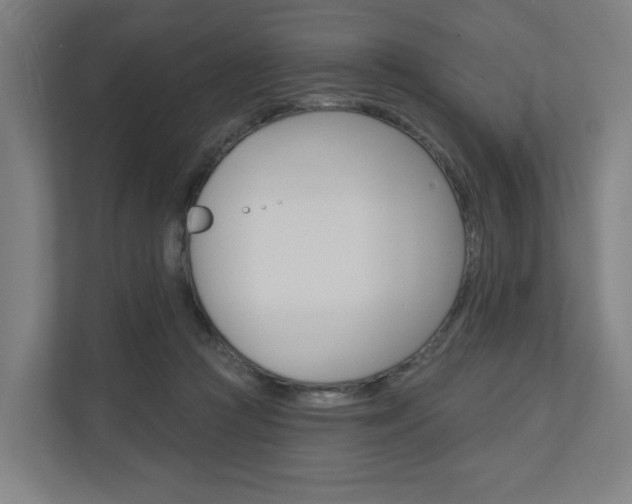 X0000110900361200906180951