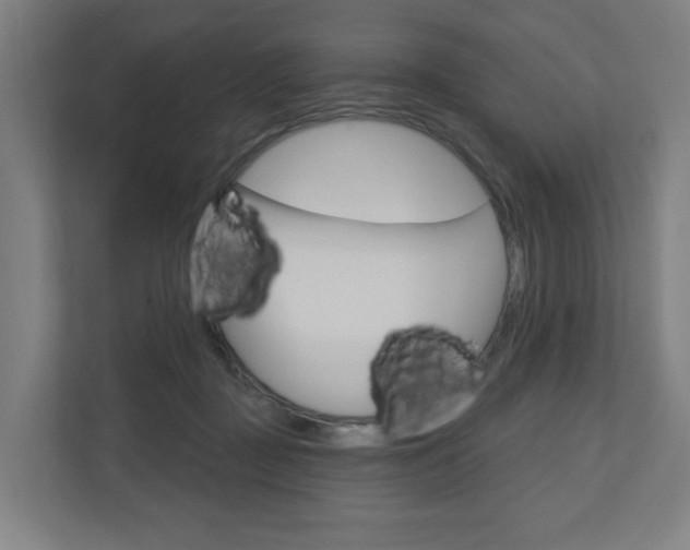 X0000110900363200906180951