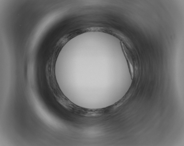 X0000110900381200906180951