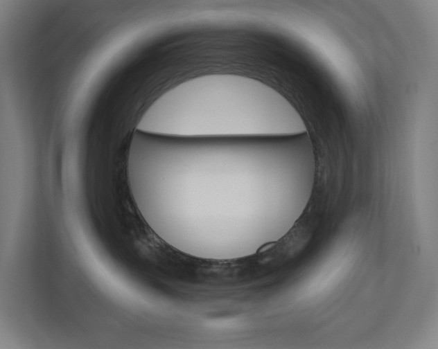 X0000110900383200906180951