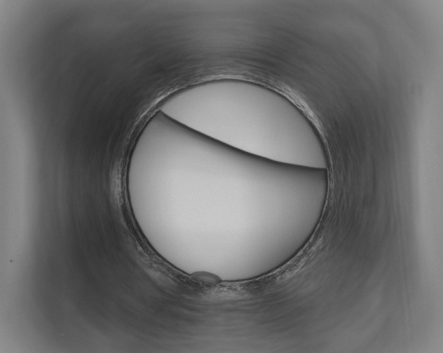 X0000110900386200906180950
