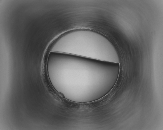 X0000110900388200906180950