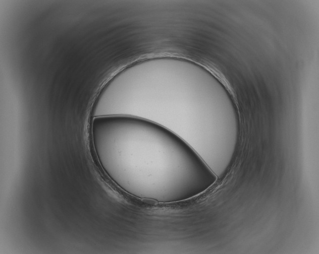 X0000110900389200906180950
