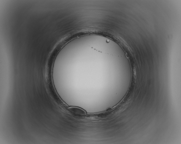 X0000110900396200906180950