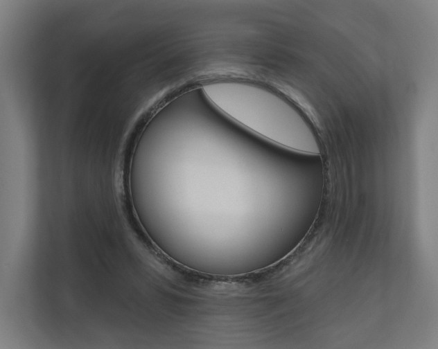 X0000110900399200906180950