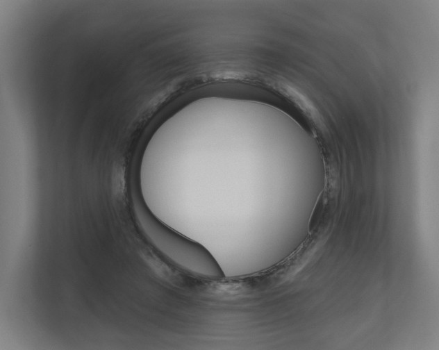 X0000110900401200906180950