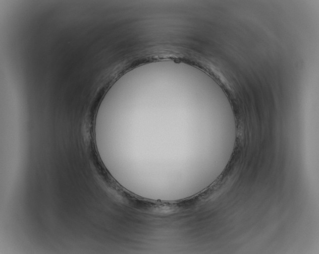 X0000110900402200906180950