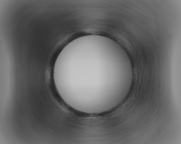 X0000110900404200906180950