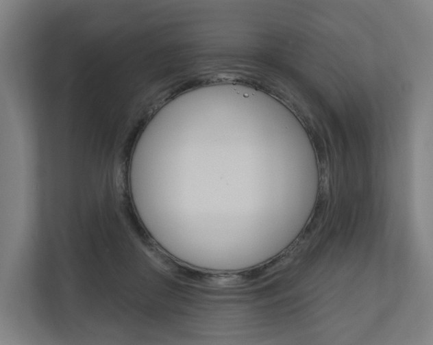 X0000110900410200906180950