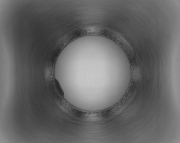 X0000110900419200906180950