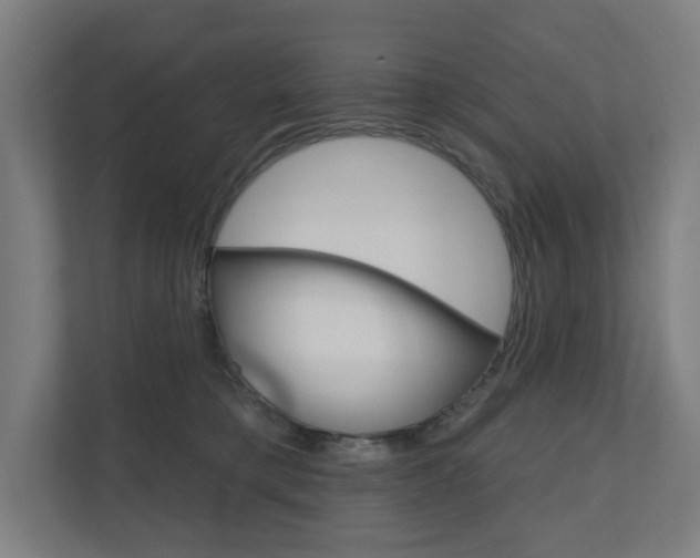 X0000110900421200906180950