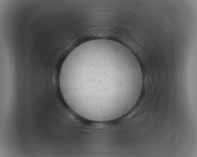 X0000110900424200906180950