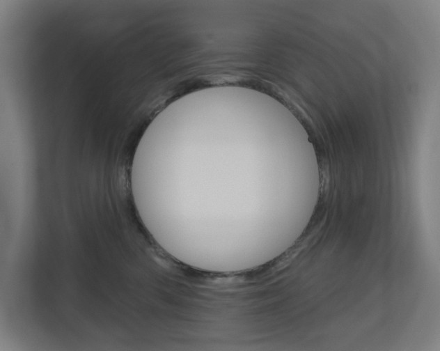 X0000110900426200906180950