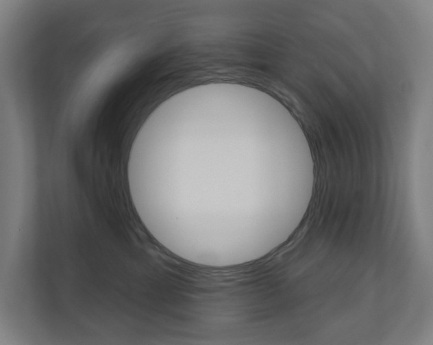 X0000110900429200906180950
