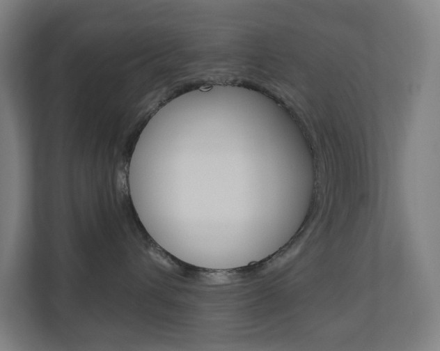 X0000110900432200906180950
