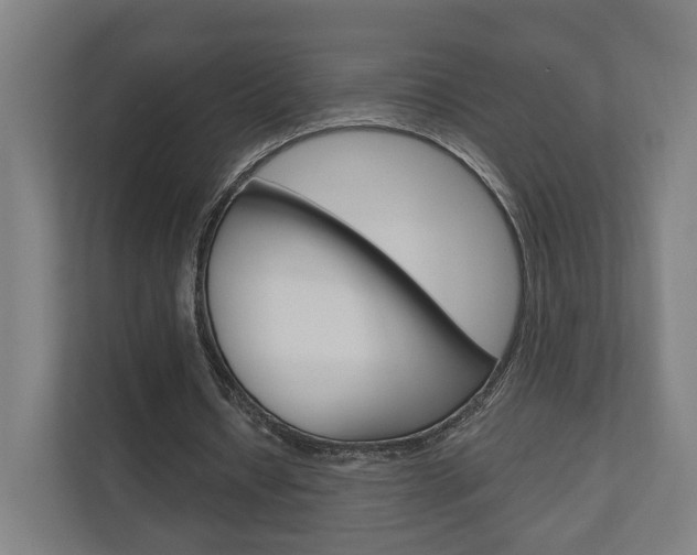 X0000110900434200906180949