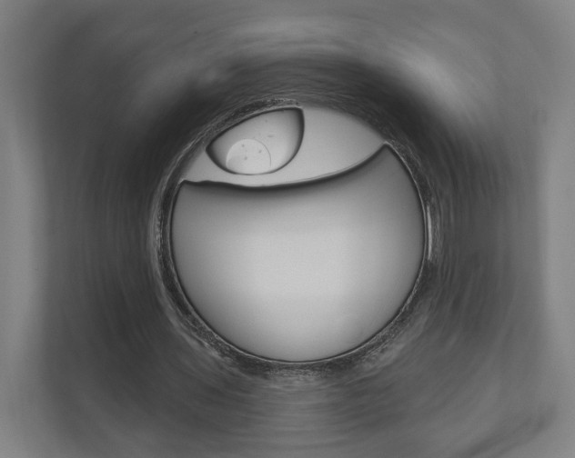 X0000110900435200906180949