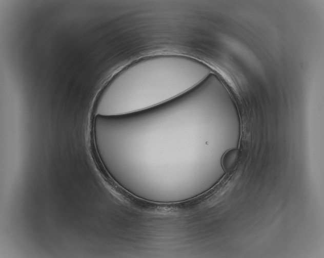X0000110900437200906180949