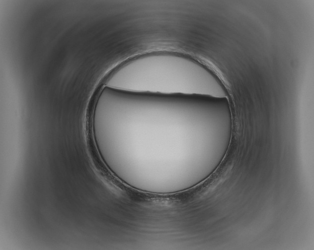 X0000110900439200906180949