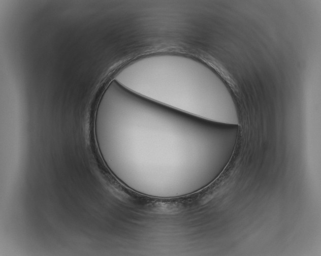 X0000110900442200906180949