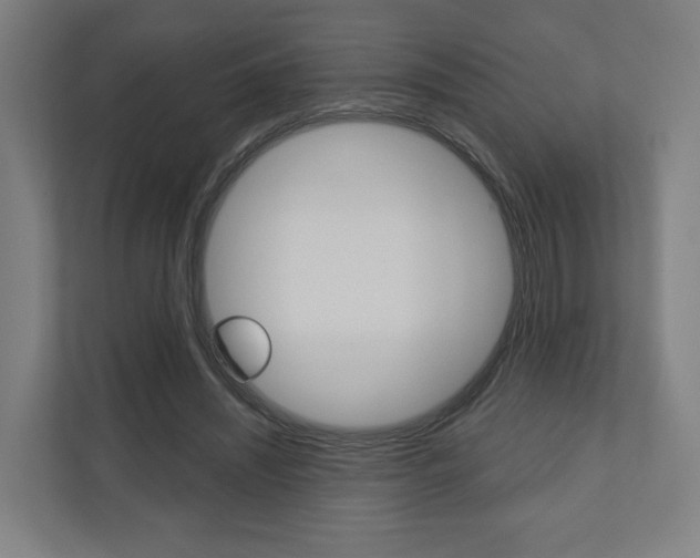 X0000110900444200906180949