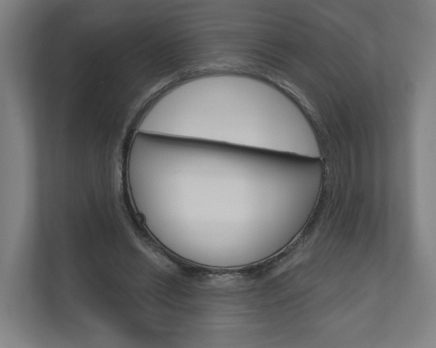 X0000110900446200906180949
