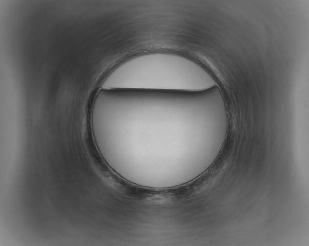 X0000110900447200906180949