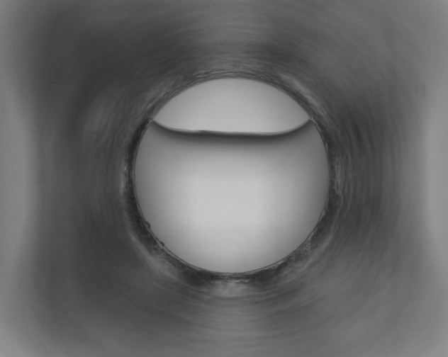 X0000110900451200906180949