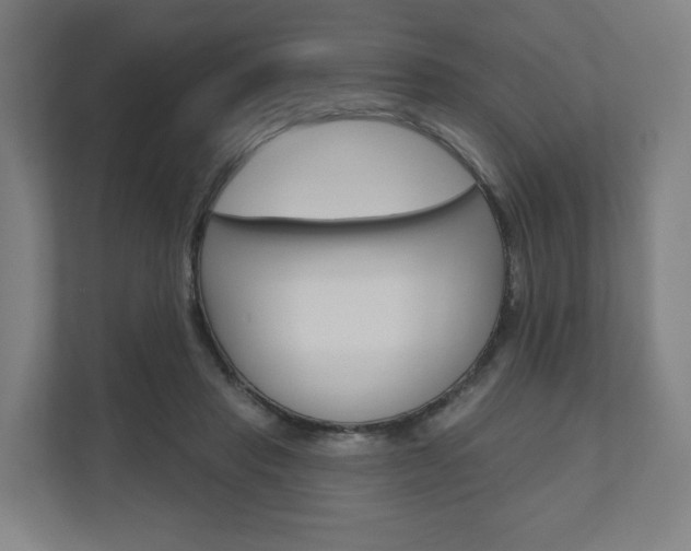 X0000110900453200906180949