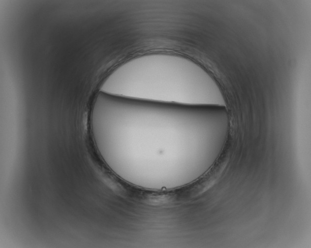 X0000110900454200906180949
