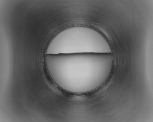 X0000110900455200906180949