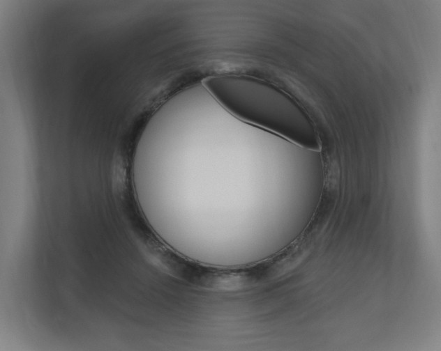 X0000110900456200906180949