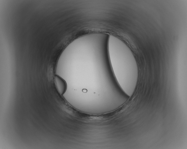 X0000110900457200906180949