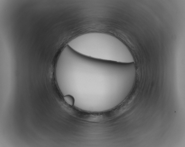 X0000110900458200906180949
