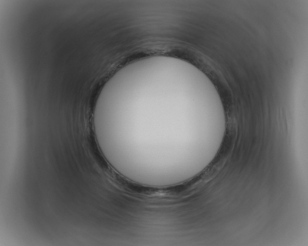 X0000110900460200906180949