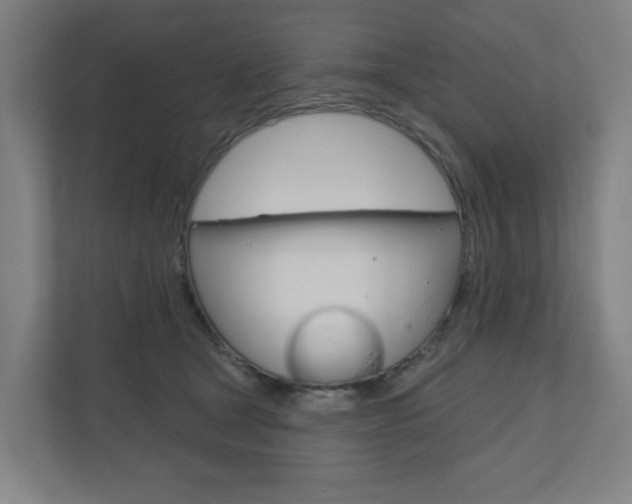 X0000110900465200906180949