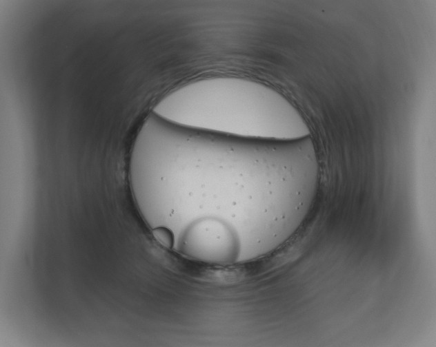 X0000110900466200906180949