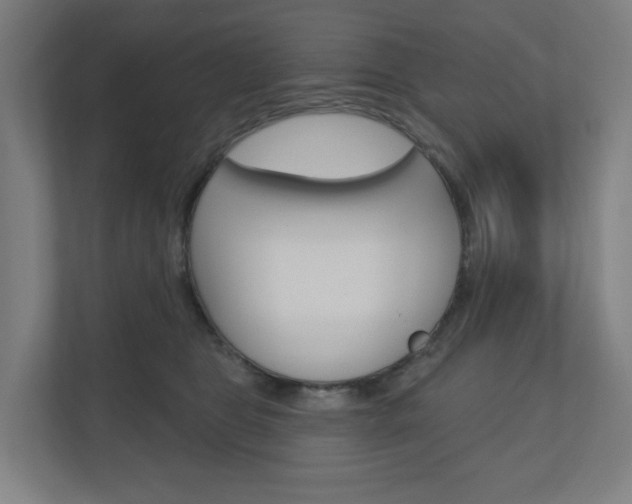 X0000110900469200906180949