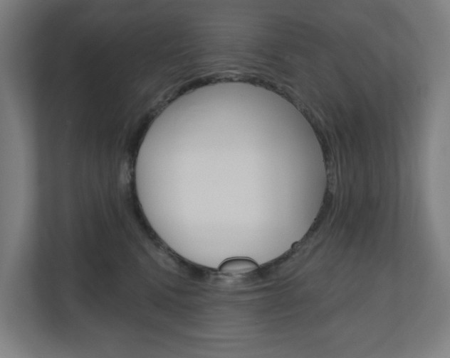X0000110900472200906180949