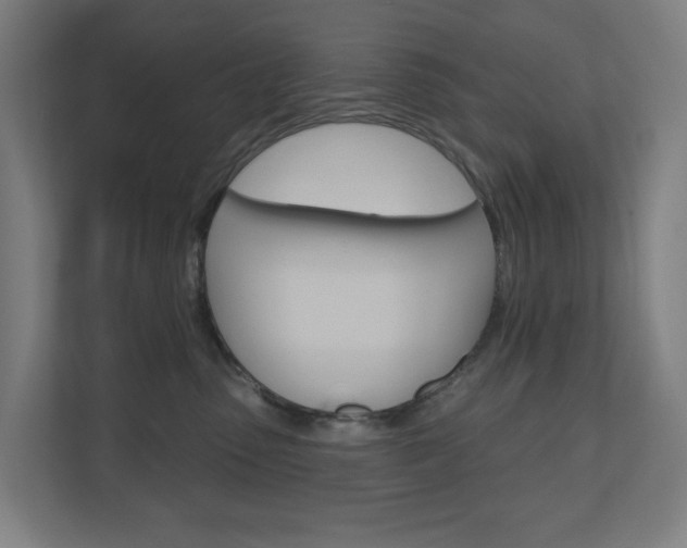 X0000110900475200906180950
