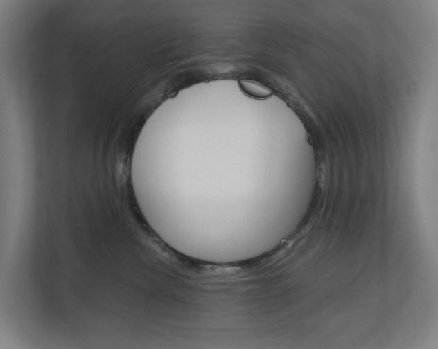 X0000110900476200906180950