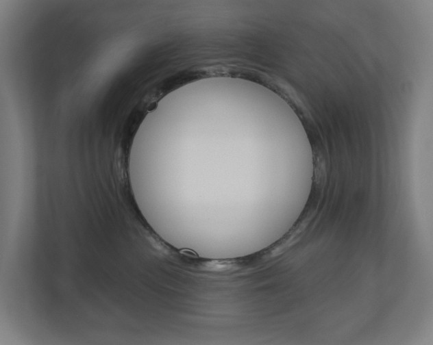 X0000110900477200906180950
