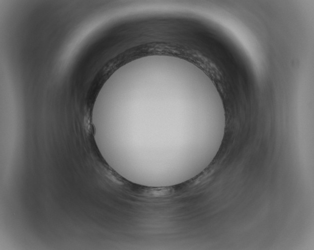 X0000110900479200906180950
