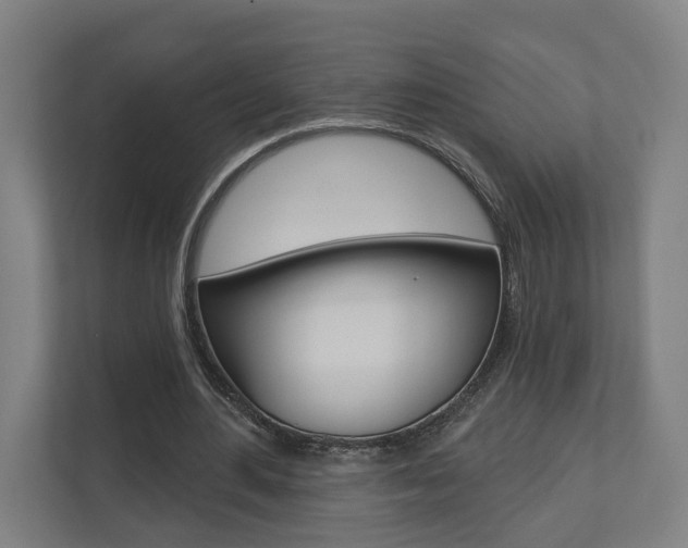 X0000110900484200906180949