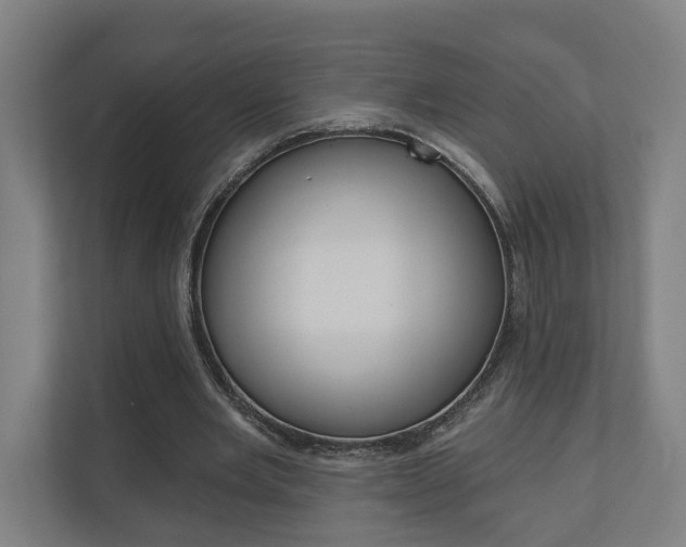 X0000110900485200906180949