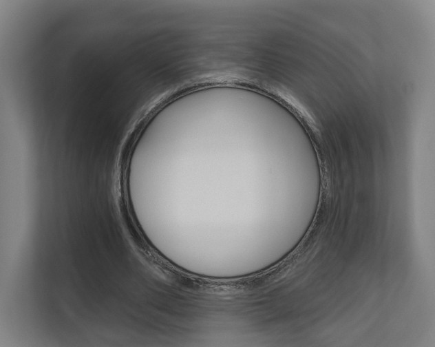 X0000110900486200906180949