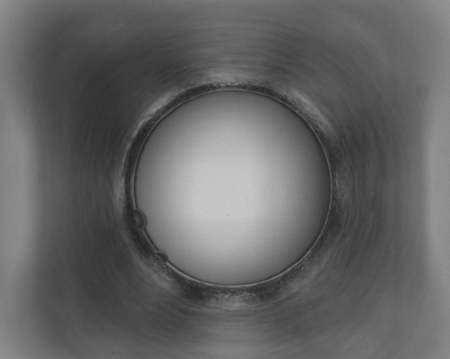 X0000110900488200906180949